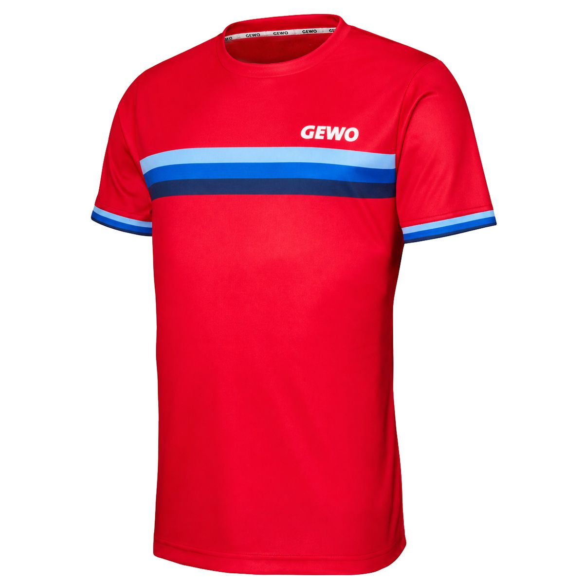 Camiseta Gewo Santiago